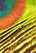 feather3.jpg (34663 bytes)