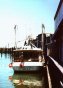 galveston20003.jpg (22476 bytes)
